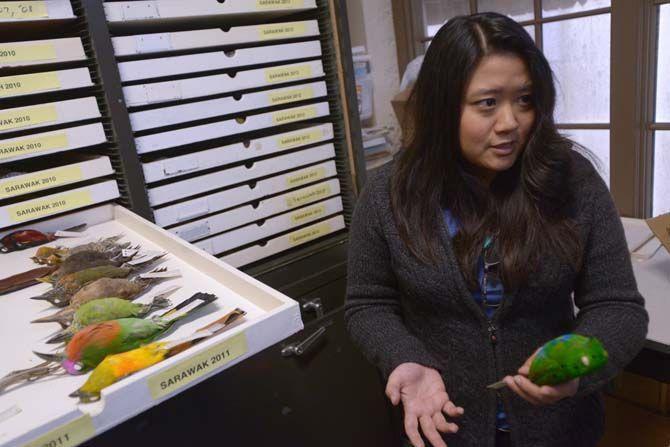 Museum of Natural Science opens new DNA laboratory