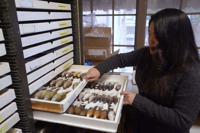 Museum of Natural Science opens new DNA laboratory