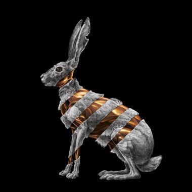 REVIEW: San Fermin - 'Jackrabbit'