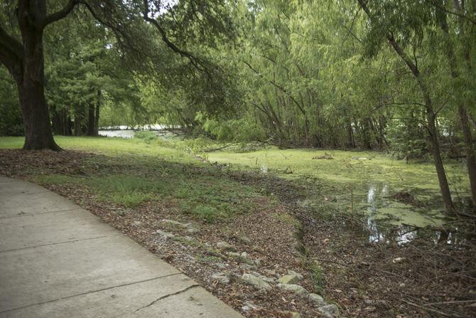 Master Plan aims to revitalize, replenish Baton Rouge lakes