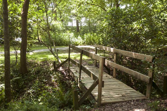 LSU Hilltop Arboretum honored with national designation