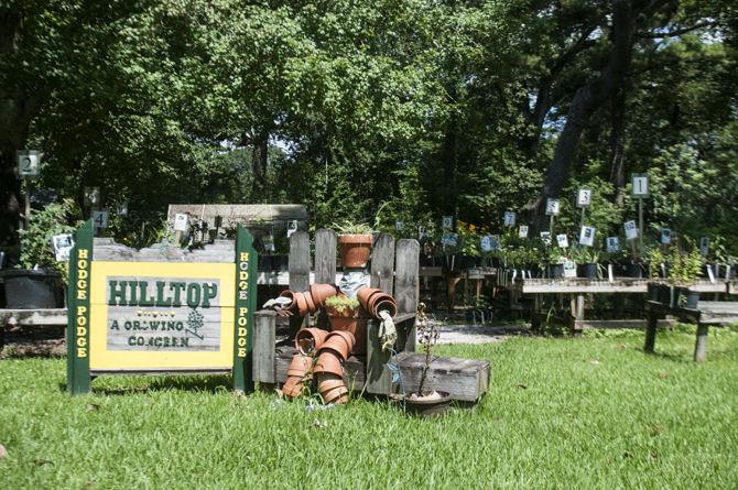 LSU Hilltop Arboretum honored with national designation