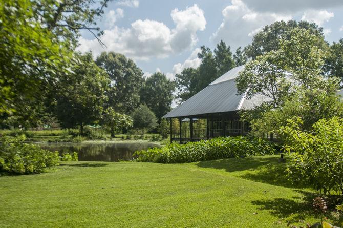 LSU Hilltop Arboretum honored with national designation