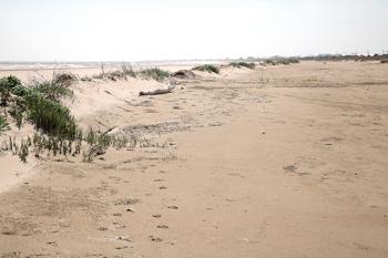 The Gulf Coast of Grand Isle and nearby marshes face threats of coastal erosion. [Above] Grand Isle is the state's only inhabited barrier island.