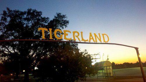 Tigerland