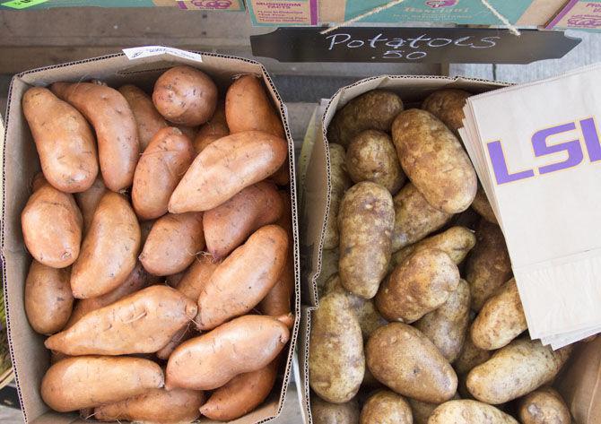 Farmer&#8217;s Market back in full swing for fall semester