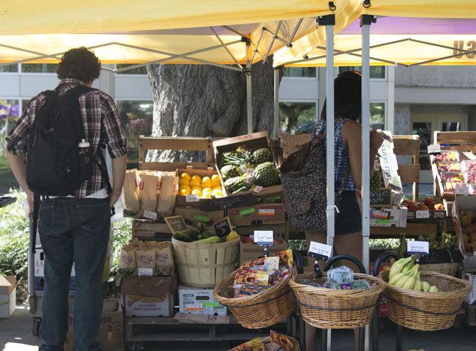 Farmer&#8217;s Market back in full swing for fall semester