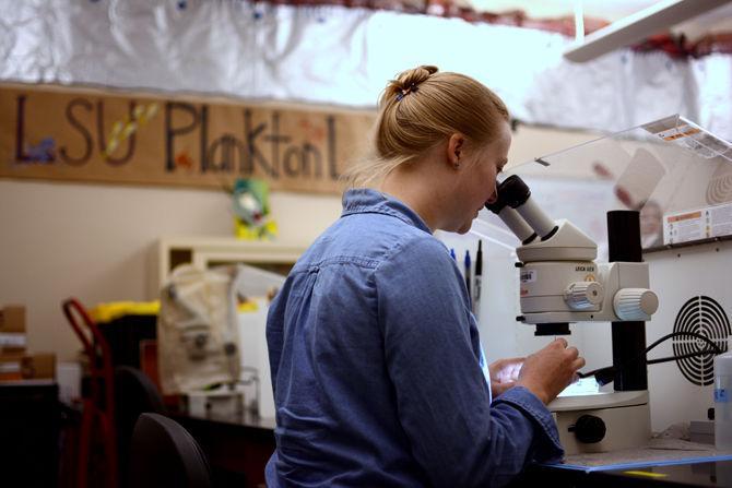 LSU professor studies oil spill's impact on plankton