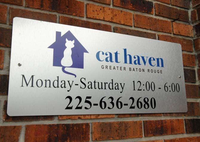 Cat Haven offers pet companionship to adopters, volunteers