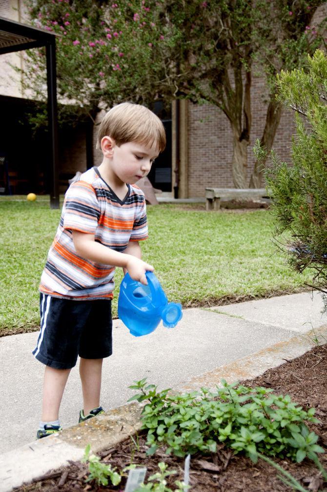 LSU nursery management class helps preschoolers grow plants