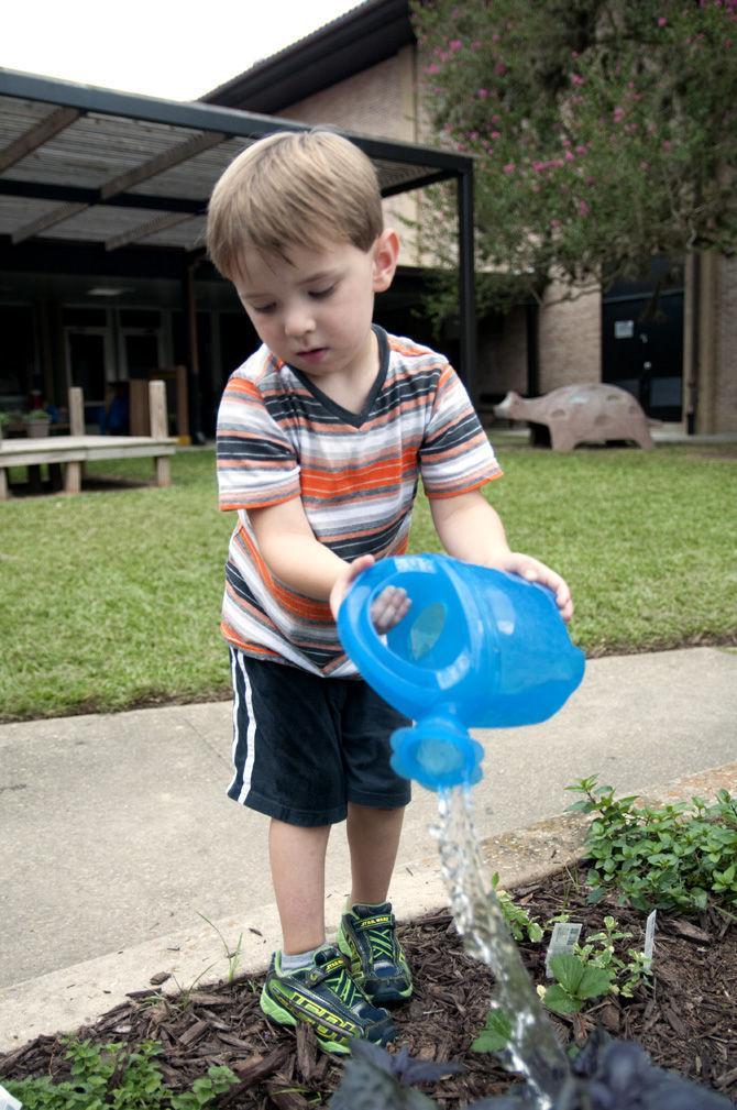 LSU nursery management class helps preschoolers grow plants