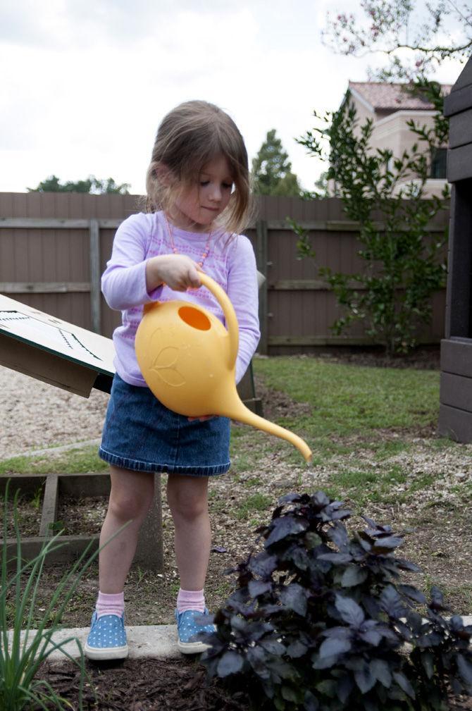 LSU nursery management class helps preschoolers grow plants