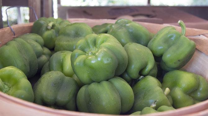 Farmer&#8217;s Market back in full swing for fall semester