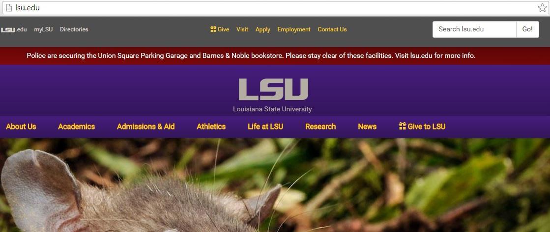 LSU eTXT "Glitch" Claims False "Armed Robbery"