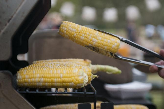 LSU Burden Museum and Gardens cultivates fun at annual corn maze