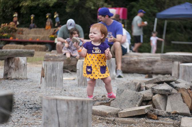 LSU Burden Museum and Gardens cultivates fun at annual corn maze