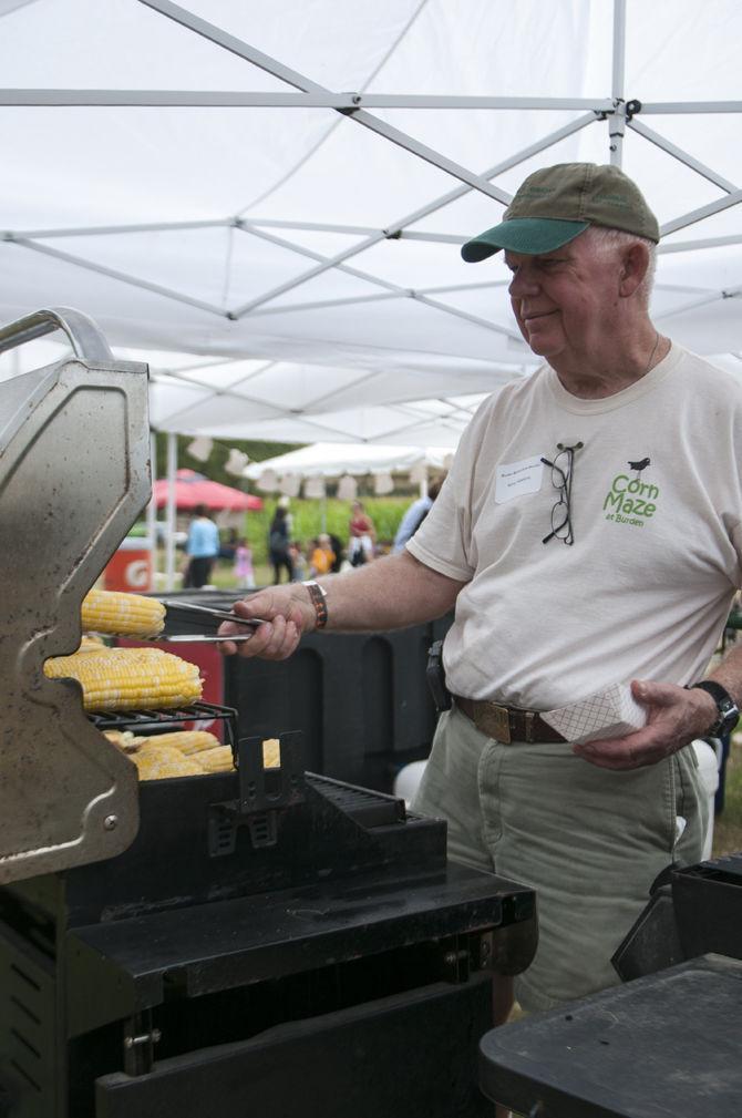 LSU Burden Museum and Gardens cultivates fun at annual corn maze