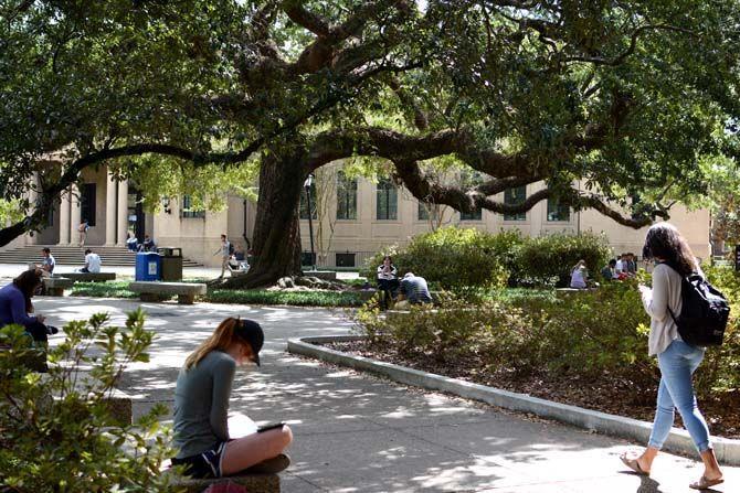 Psychological Services Center, Mental Health Service offer treatment options for LSU students