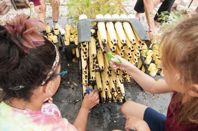 LSU Coastal Roots program celebrates 15 years by expanding international program