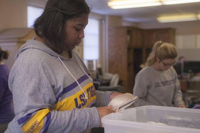 New Volunteer LSU project benefits local domestic violence center