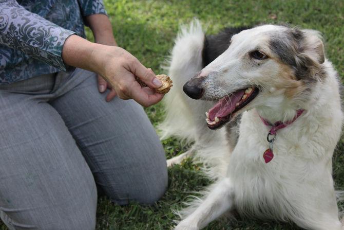 Local company helps Louisiana ecosystem with dog treats