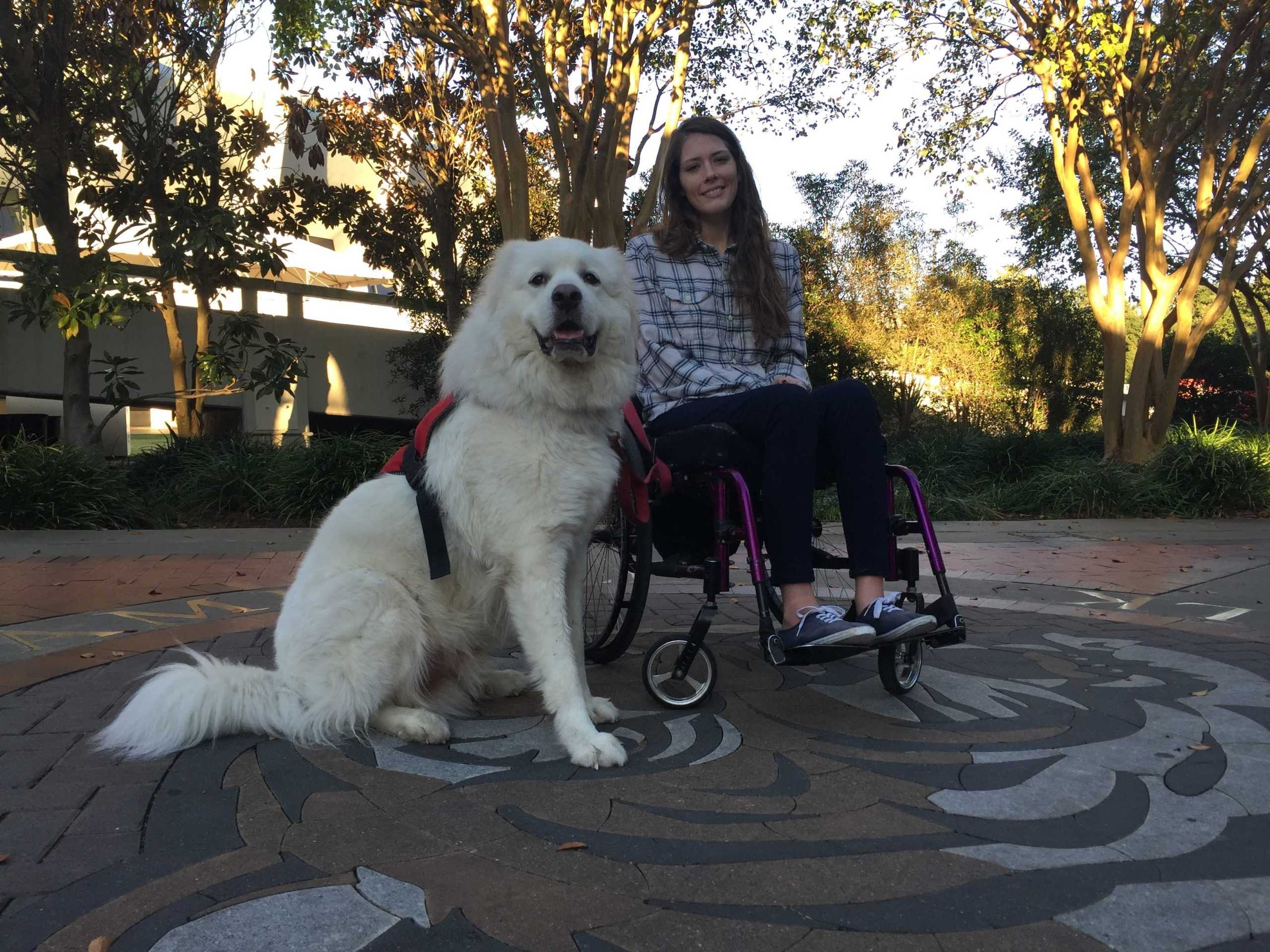 Gameday limits handicap parking for disabled students