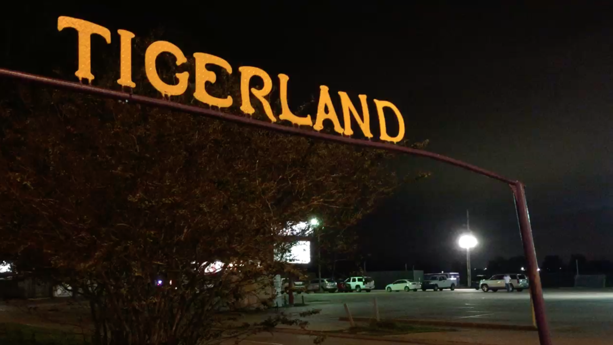 By day, the place known as Tigerland appears safe and calm, but when the sun goes down, the students of LSU come out to enjoy all that Tigerland has to offer.&#160;