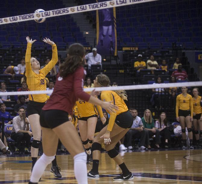 LSU freshman setter Lindsay Flory (16) sets the ball during the Tigers' 3-2 defeat against Arkansas on Wednesday, Sat. 23, 2015 in the Pete Maravich Assembly Center.