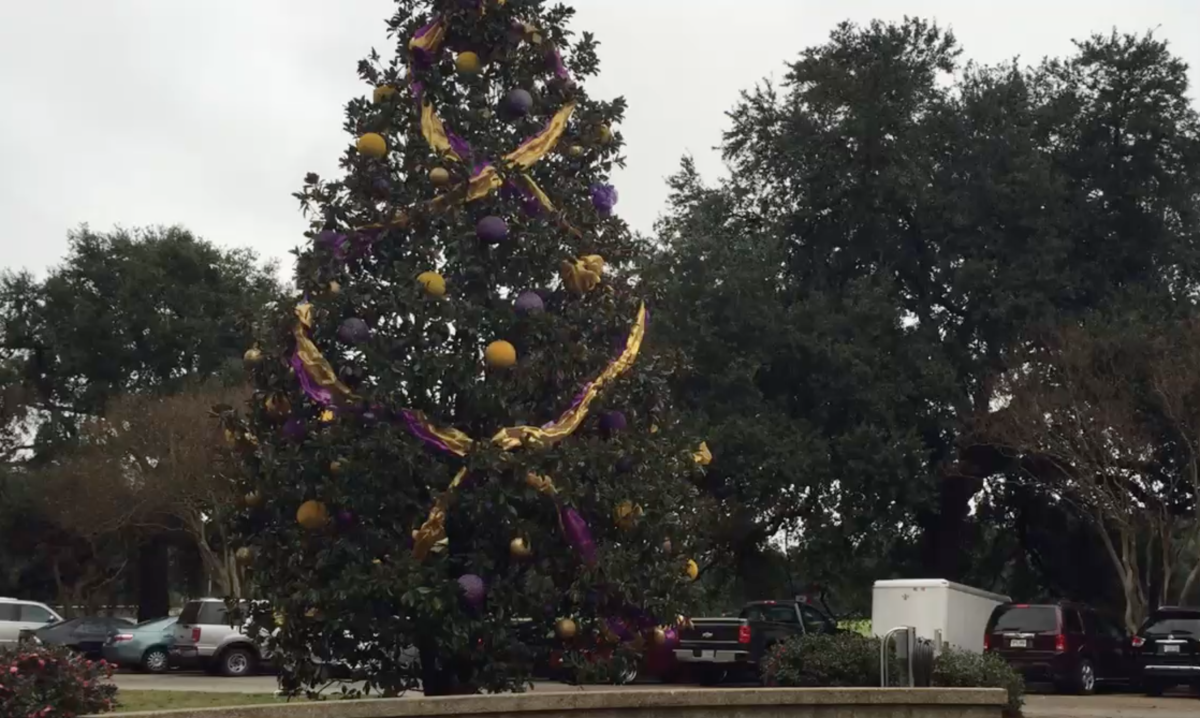 In 2014, LSU added its first permanent Christmas tree on campus, and celebrates the season with a Christmas tree lighting ceremony.&#160;