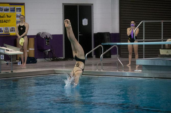 LSU senior Cassie Weil dives during the Tigers'&#160;187-103 win against Southern Methodist University in the LSU Natatorium&#160;on Saturday, Nov. 7, 2015.