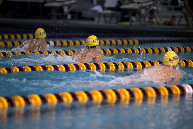 LSU swimmers participate in the mens' 200 yard medley relay Friday, Sept. 25, 2015, during the LSU Swimming and Diving meet in the Natatorium.