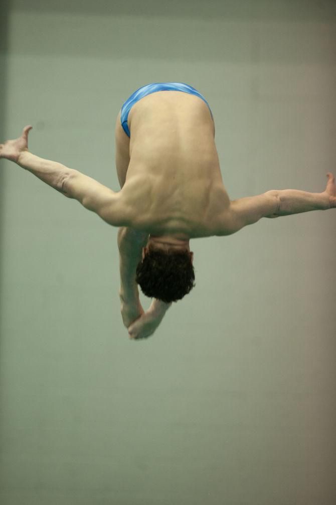 LSU Junior Diver Andrew Suchla flips in a LSU defeat on Saturday, Jan. 23, 2016 at the Natatorium