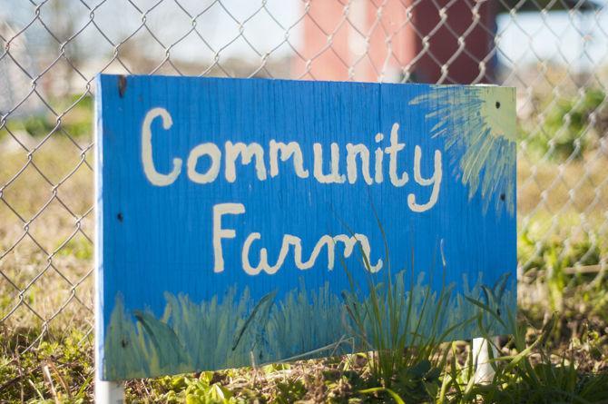 AgCenter sets up teaching gardens in New Orleans