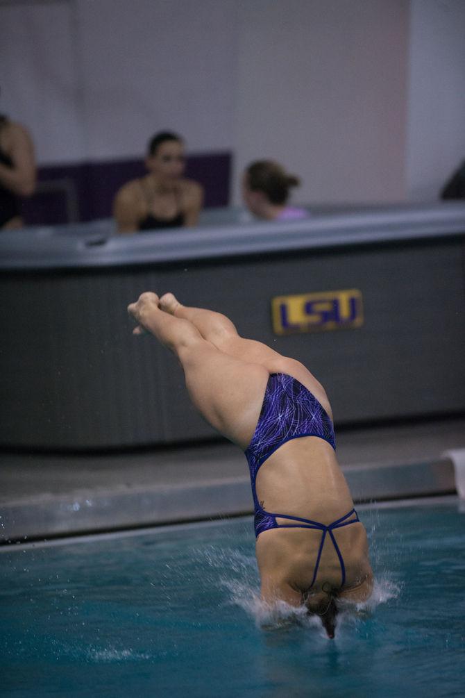 LSU Freshman Diver Elizabeth Cui dives for a LSU defeat on Saturday, Jan. 23, 2016 at the Natatorium