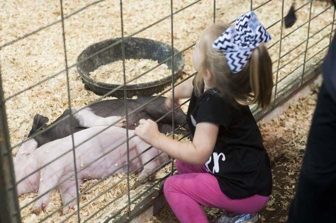 LSU Ag department host AgMagic for local elementary school students on Wednesday April 13, 2016, on LSU Campus.