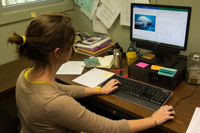 Professors in the College of Science are expanding literature about the Gulf of Mexico and our ecosystems that will be used in schools across the state.