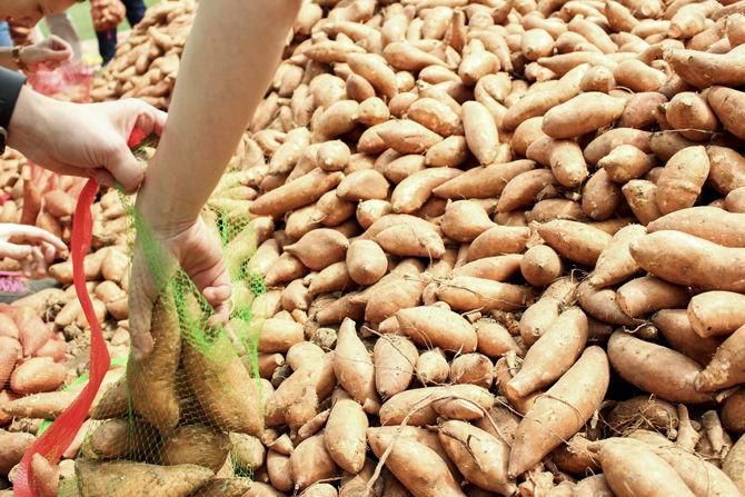 Kitchens on the Geaux hosts 4th annual potato drop