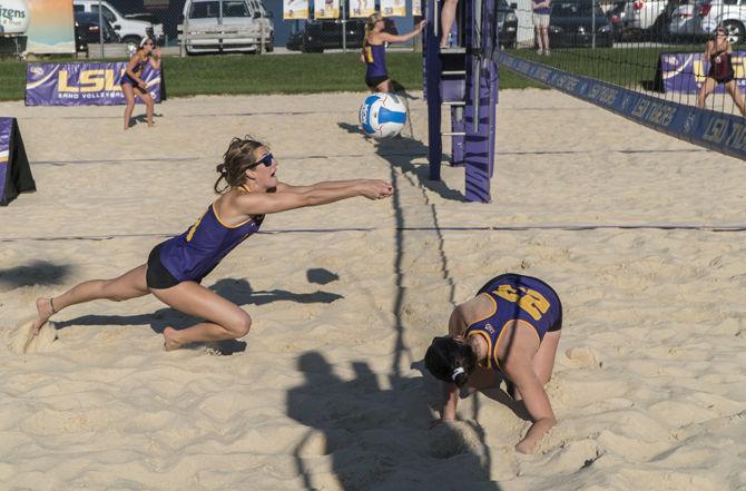 LSU freshman Megan Davenport (31) digs the ball during the Tigers' 5-0 defeat against Florida St. on Saturday, Apr. 02, 2016 at Mango's Beach Volleyball Club.