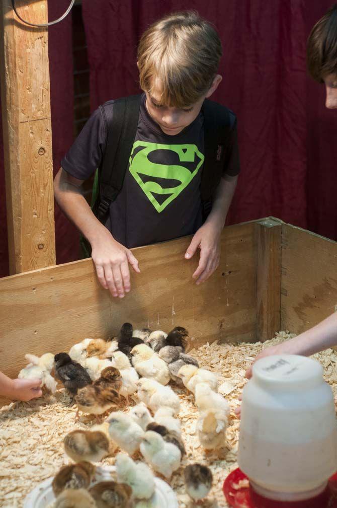 Week-long AgMagic event aims to provide agricultural education