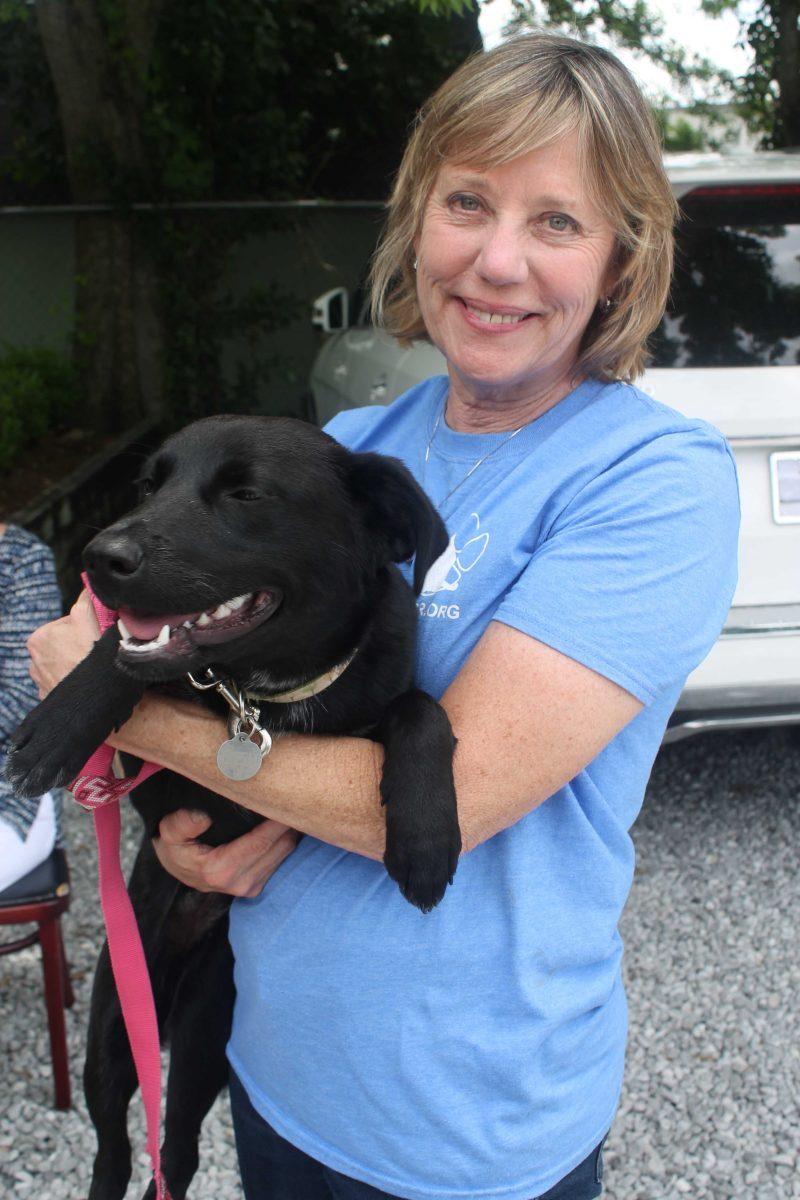 Friends of Animals Executive Director Paula Schoen&#160;and Violet greet customers at Pups and Pasta on Sunday, May 29, 2016.