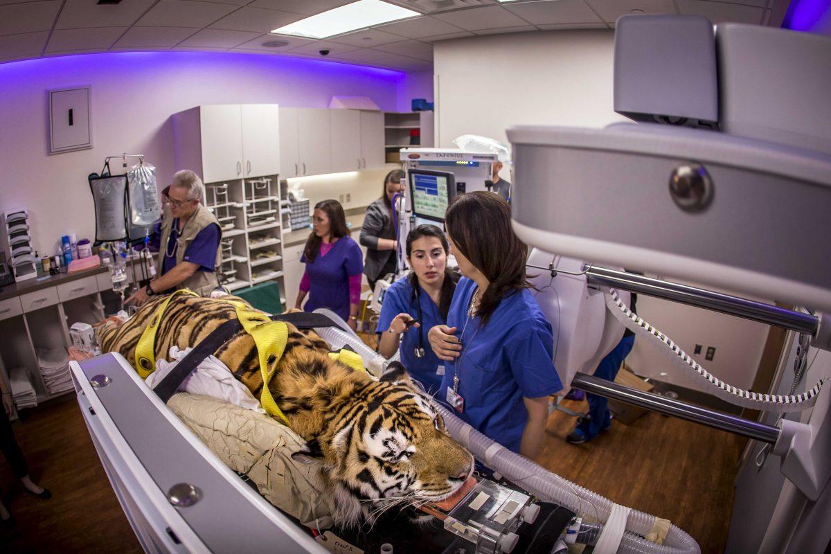 Mike Vi receives his first radiation treatment at Mary Bird Perkins -&#160;Our Lady of the Lake Cancer Center on June 1, 2016.