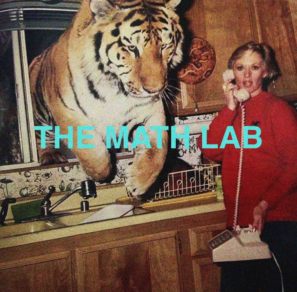 The Math Lab