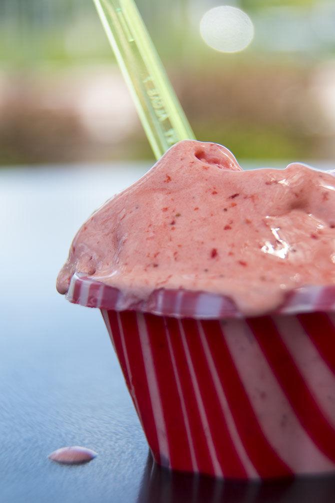 City Gelato offers hand-crafted italian desserts to customers outside the Main Library at Goodwood.