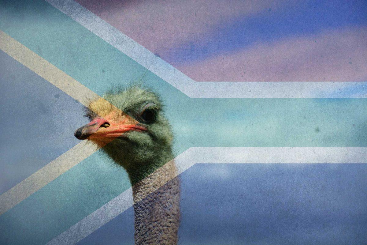 ostrich