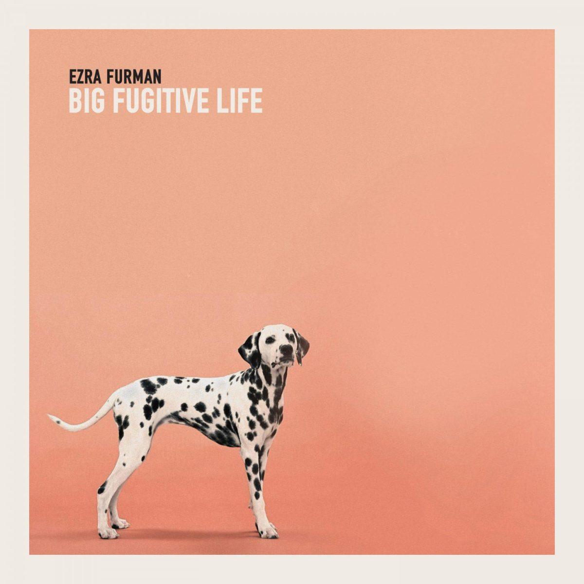 Ezra Furman- Big Fugitive Life