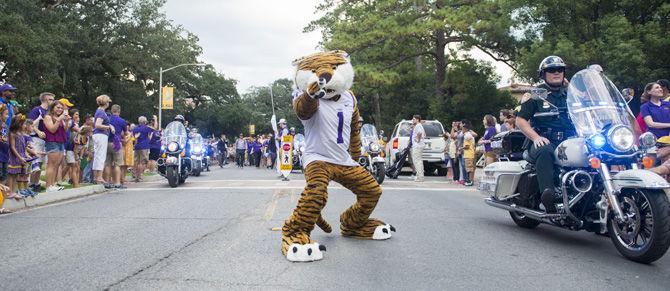 Mike the Tiger leads the Tiger Band towards Victory Hill before the game on Saturday Sept. 10, 2016, on Dalrymple Dr. on LSU campus.