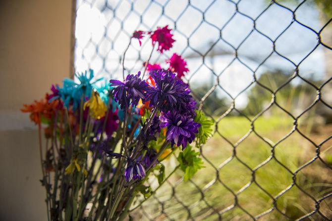 LSU community mourns as Mike VI moved to hospice care