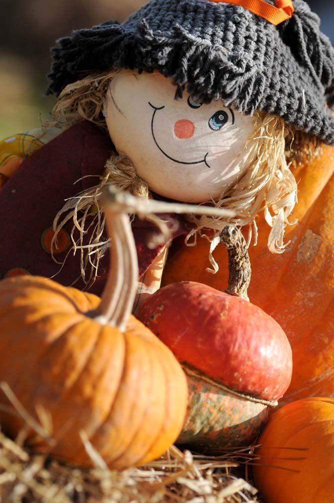 Pumpkin patches are a defining part of the Halloween tradition. Jefferson United Methodist Church, located at 10328 Jefferson Highway, offers an annual pumpkin patch with proceeds funding their various missions.