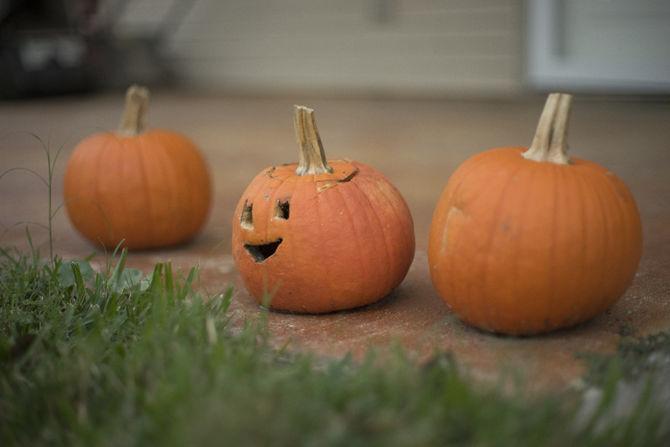 How to get the most out of your pumpkins