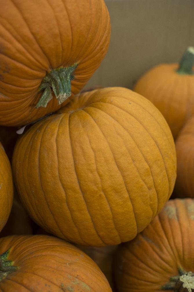 How to get the most out of your pumpkins